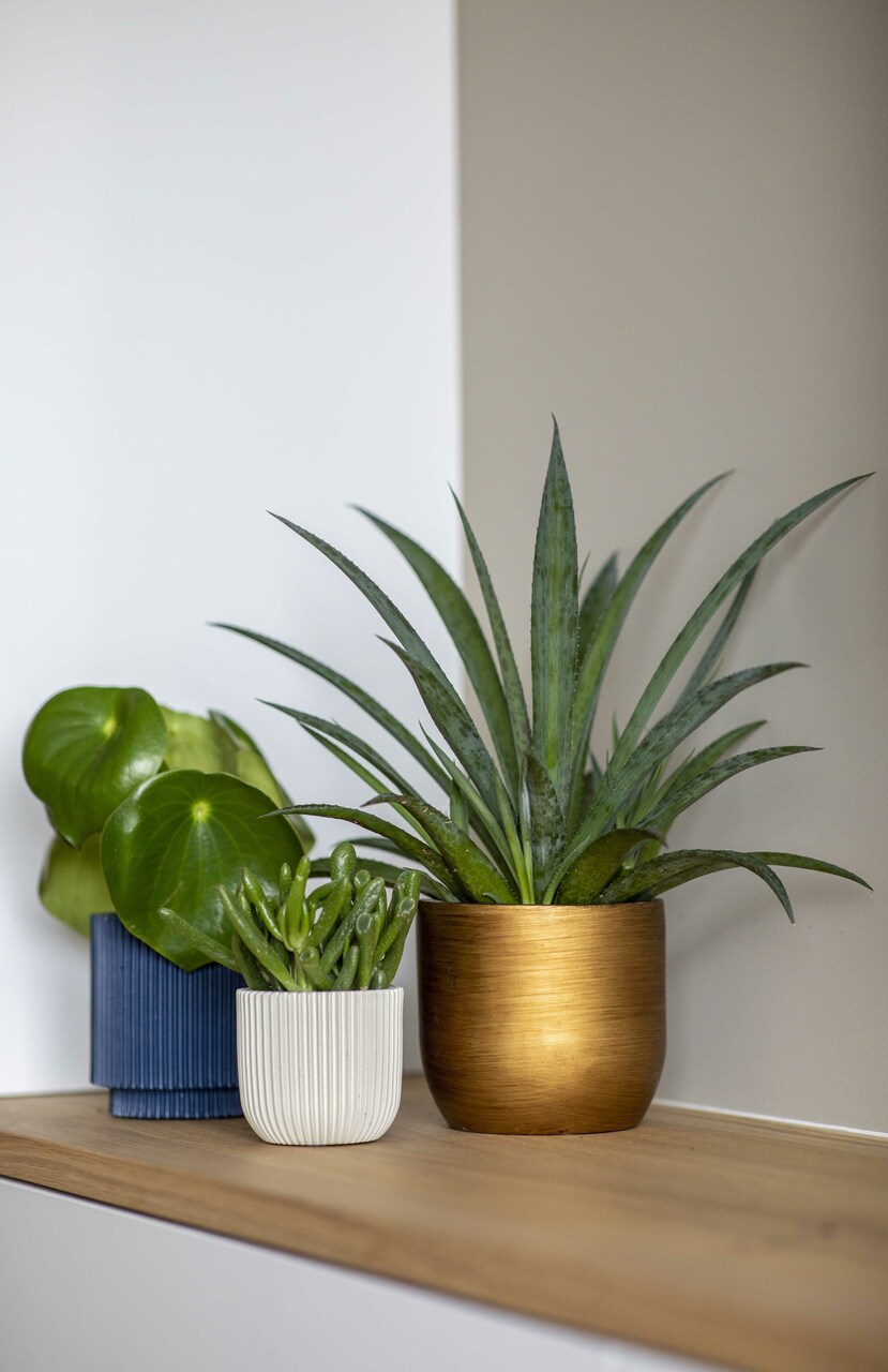 Vase Cylinder Groove Dark Blue