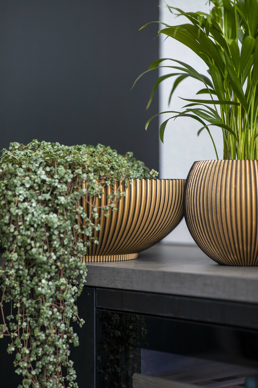 Bowl Groove Black Gold