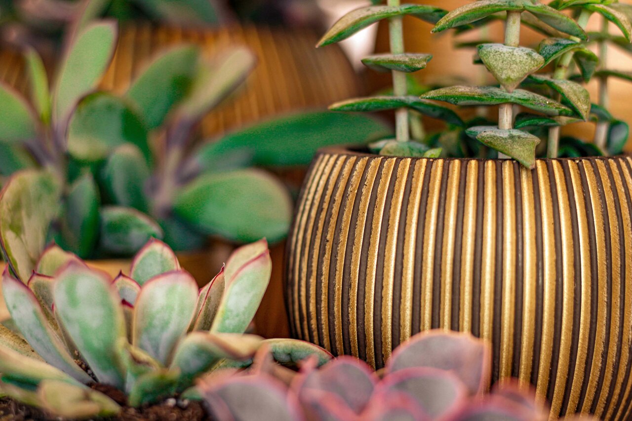 Vase Ball Groove Black Gold