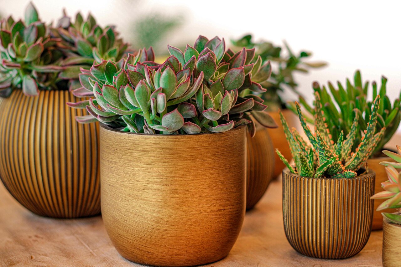 Planter Ball Groove Black Gold Planter Ball Groove Black Gold