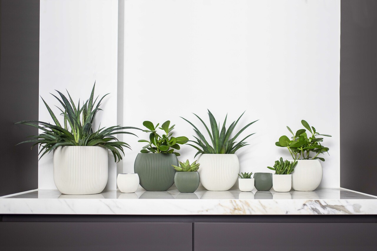 Vase Ball Groove Green