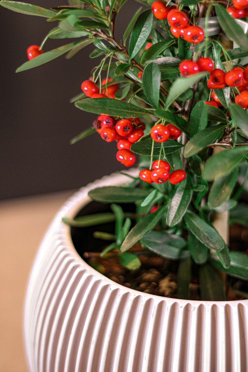 Vase Ball Groove Ivory