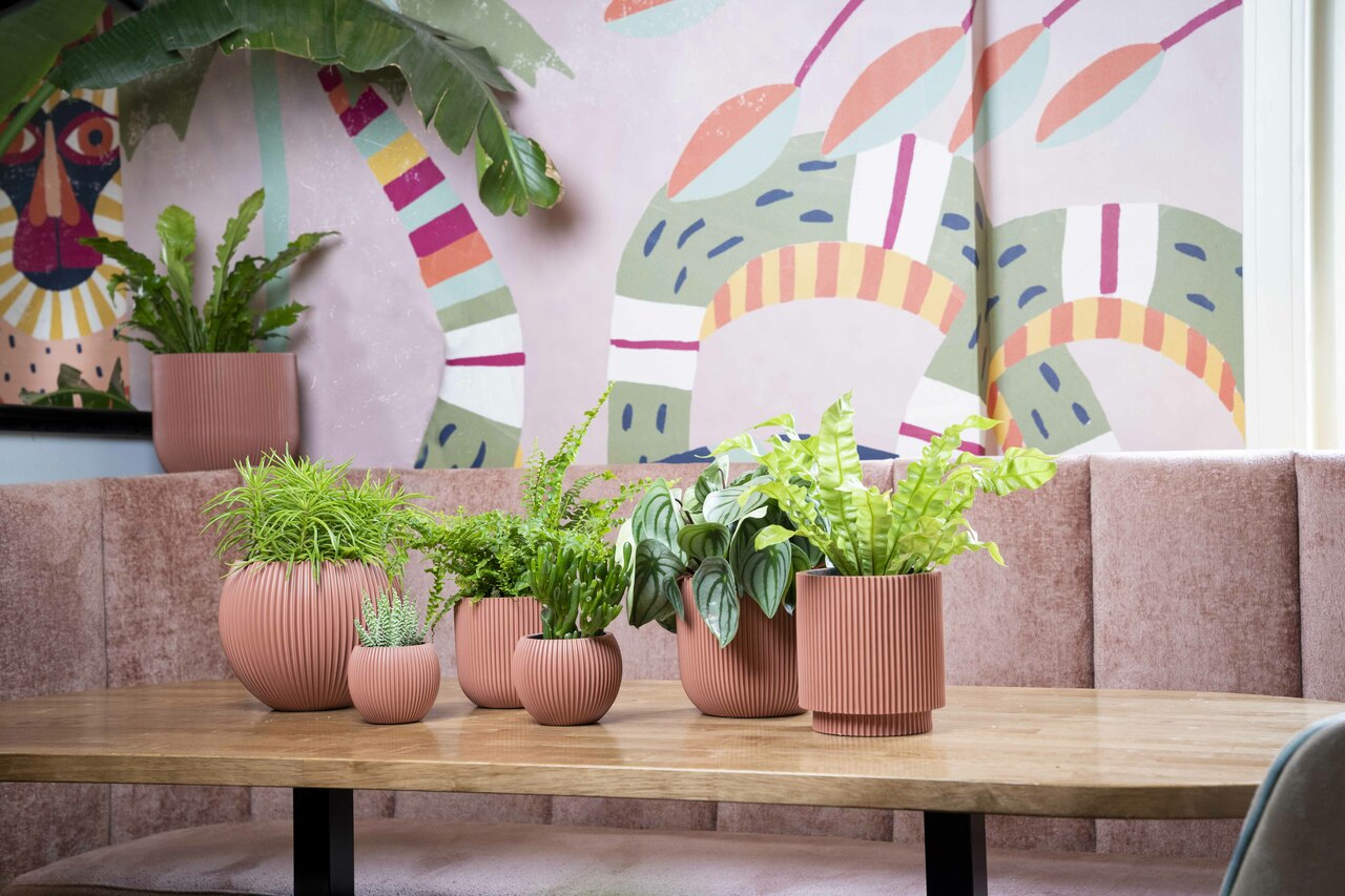 Planter Ball Groove Pink