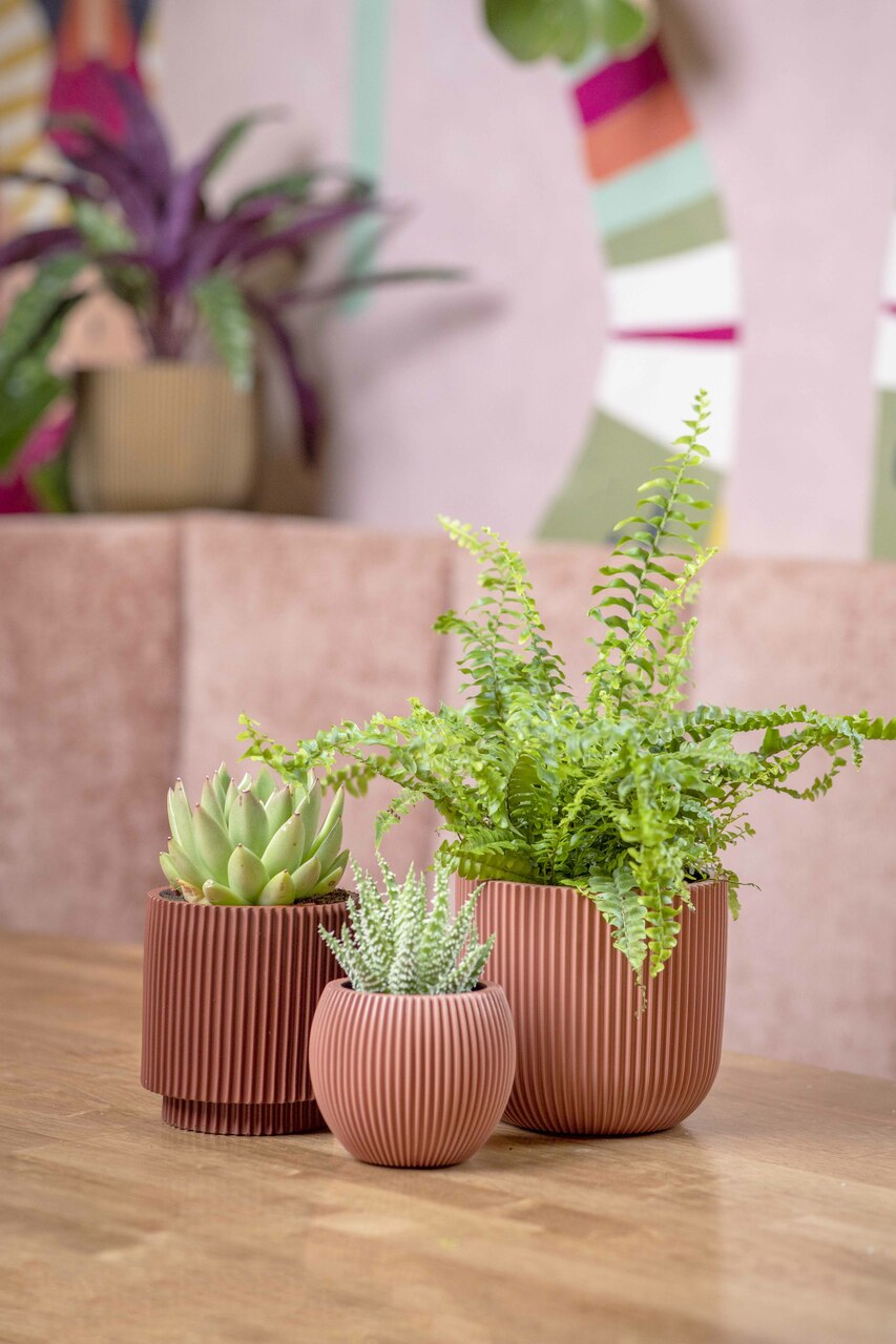 Planter Ball Groove Pink Planter Ball Groove Pink