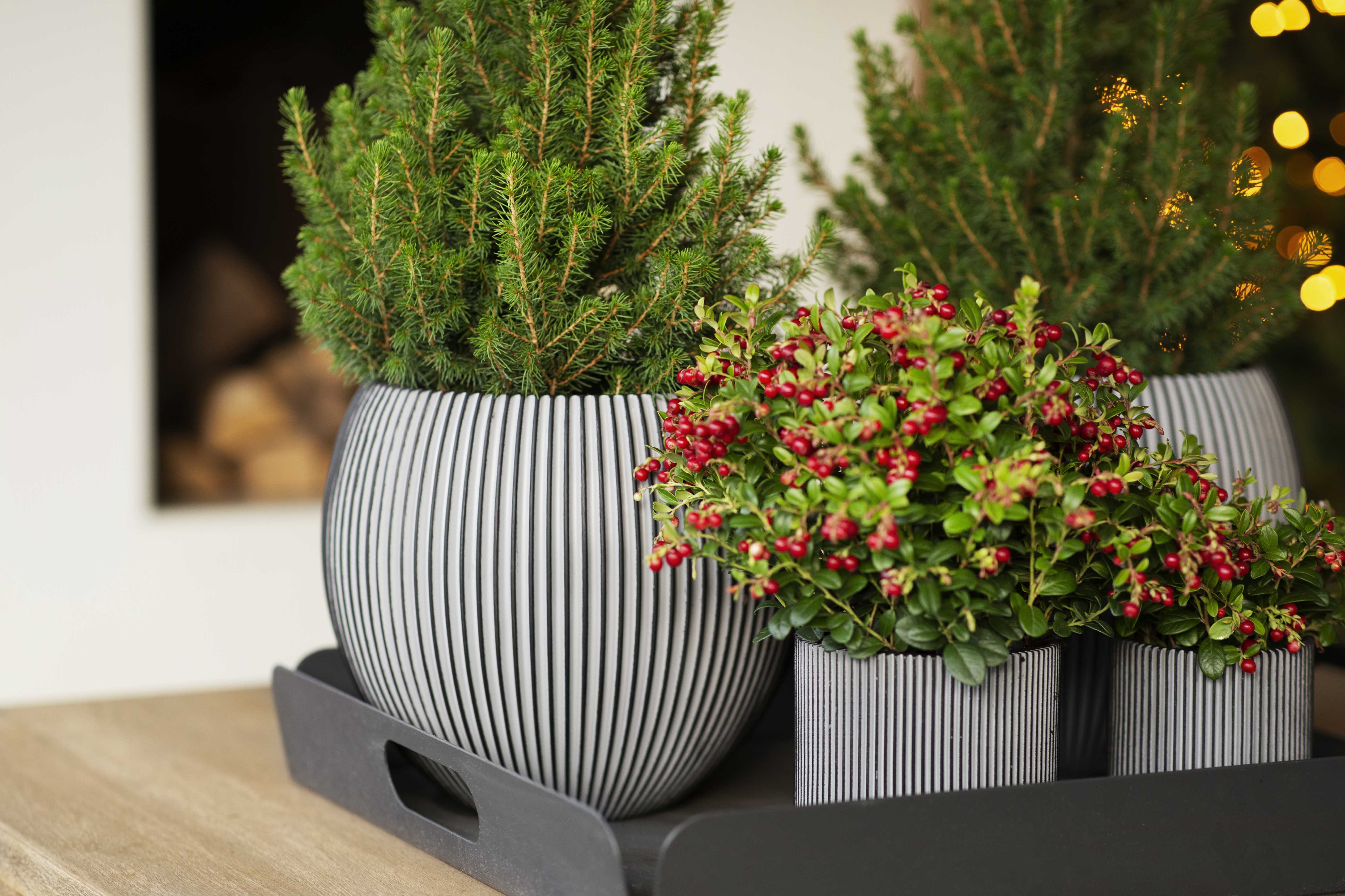 Vase Cylinder Groove Anthracite