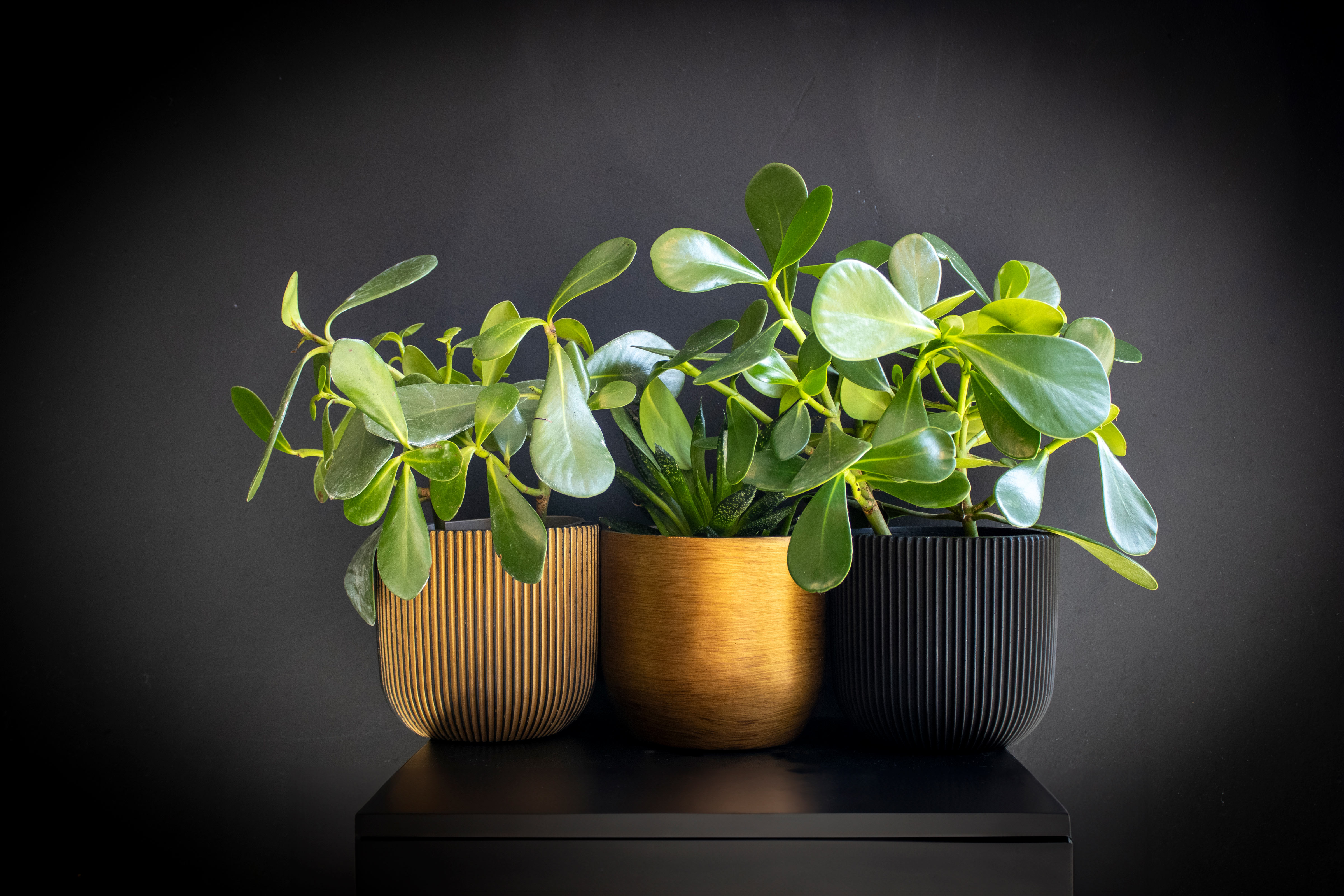 Planter Ball Retro Copper Planter Ball Retro Copper