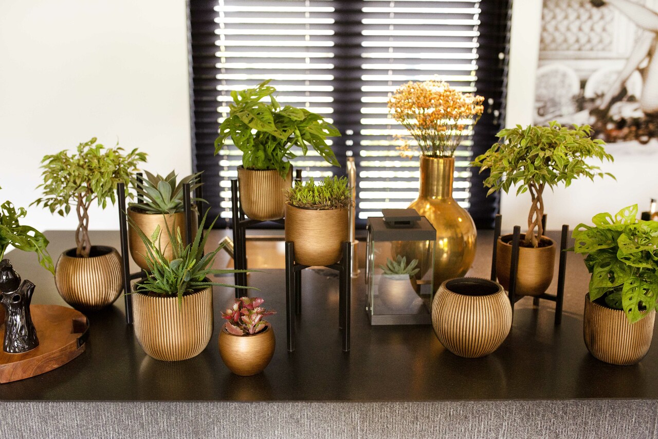 Planter Ball Retro Gold Planter Ball Retro Gold