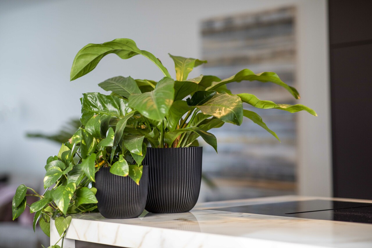 Planter Ball Groove Textile Black Planter Ball Groove Textile Black