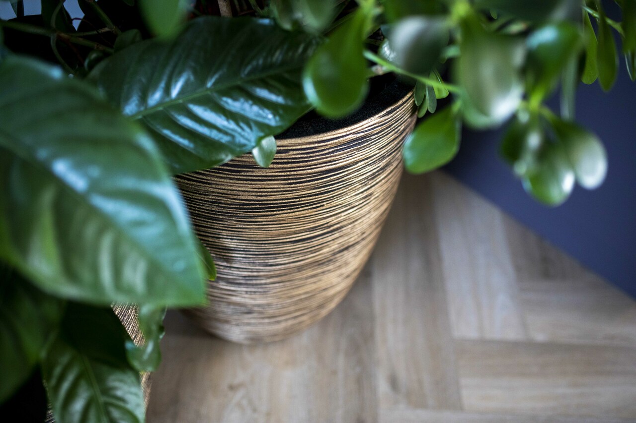 Vase Elegant Low Rib NL Black Gold Vase Elegant Low Rib NL Black Gold