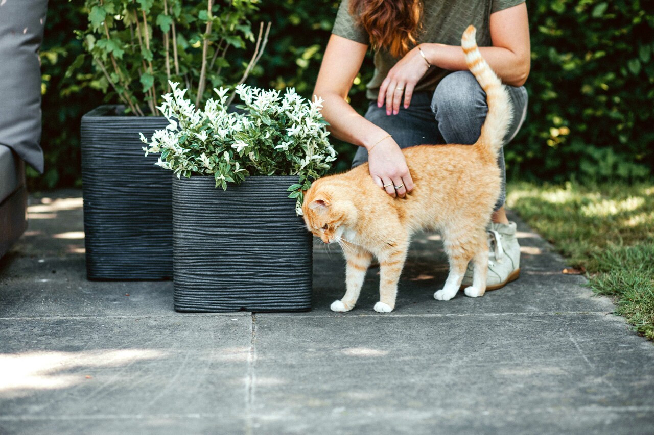 Planter Square Rib NL Black Planter Square Rib NL Black