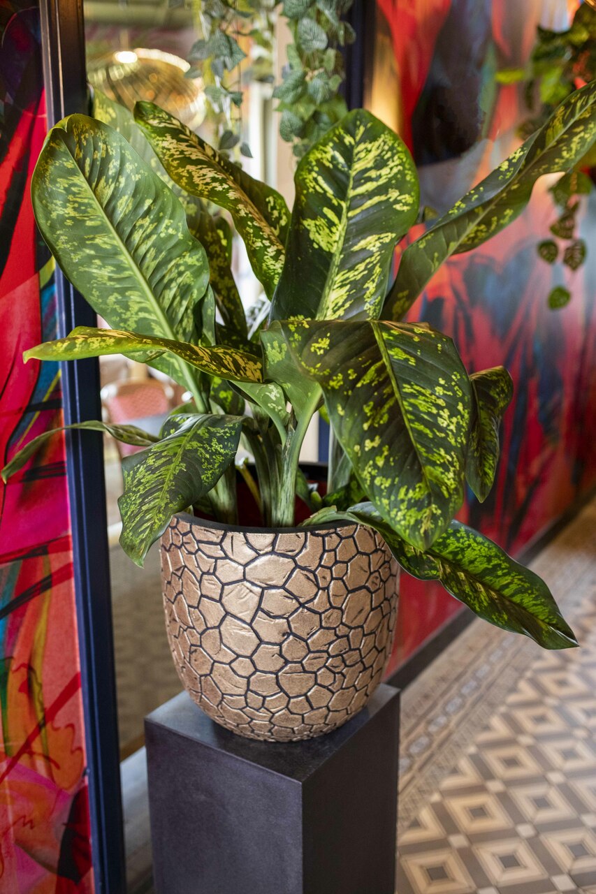 Planter Ball Clay NL Black Gold