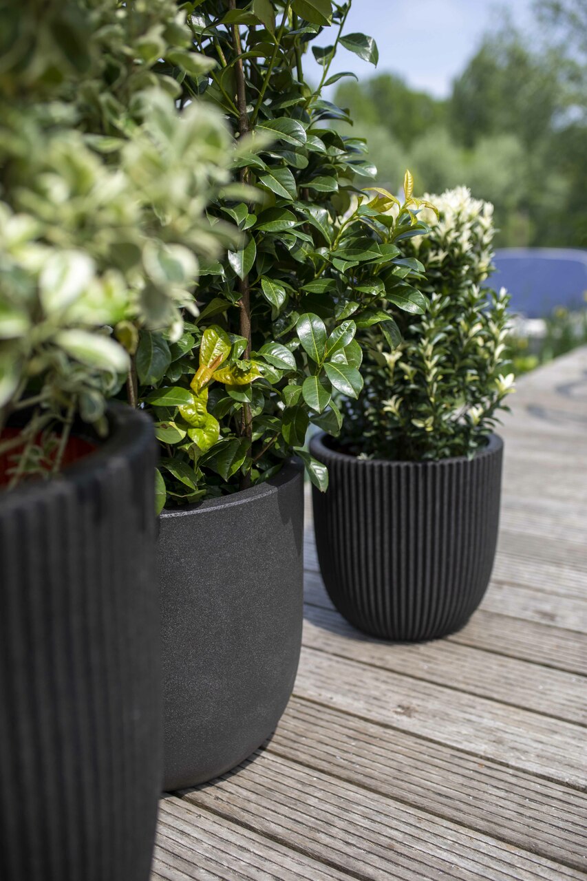 Planter Ball Groove NL Black Planter Ball Groove NL Black