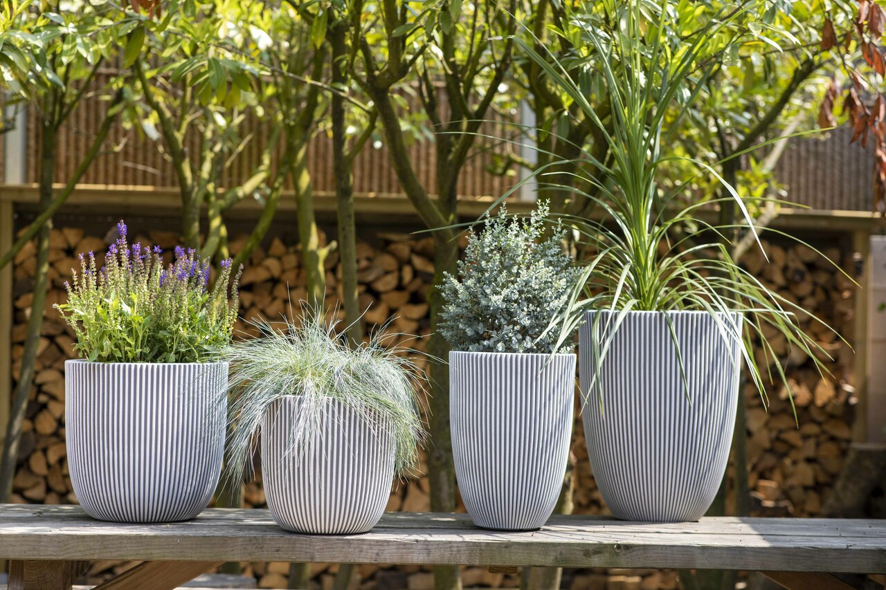 Vase Elegant Low Groove NL Ivory Vase Elegant Low Groove NL Ivory