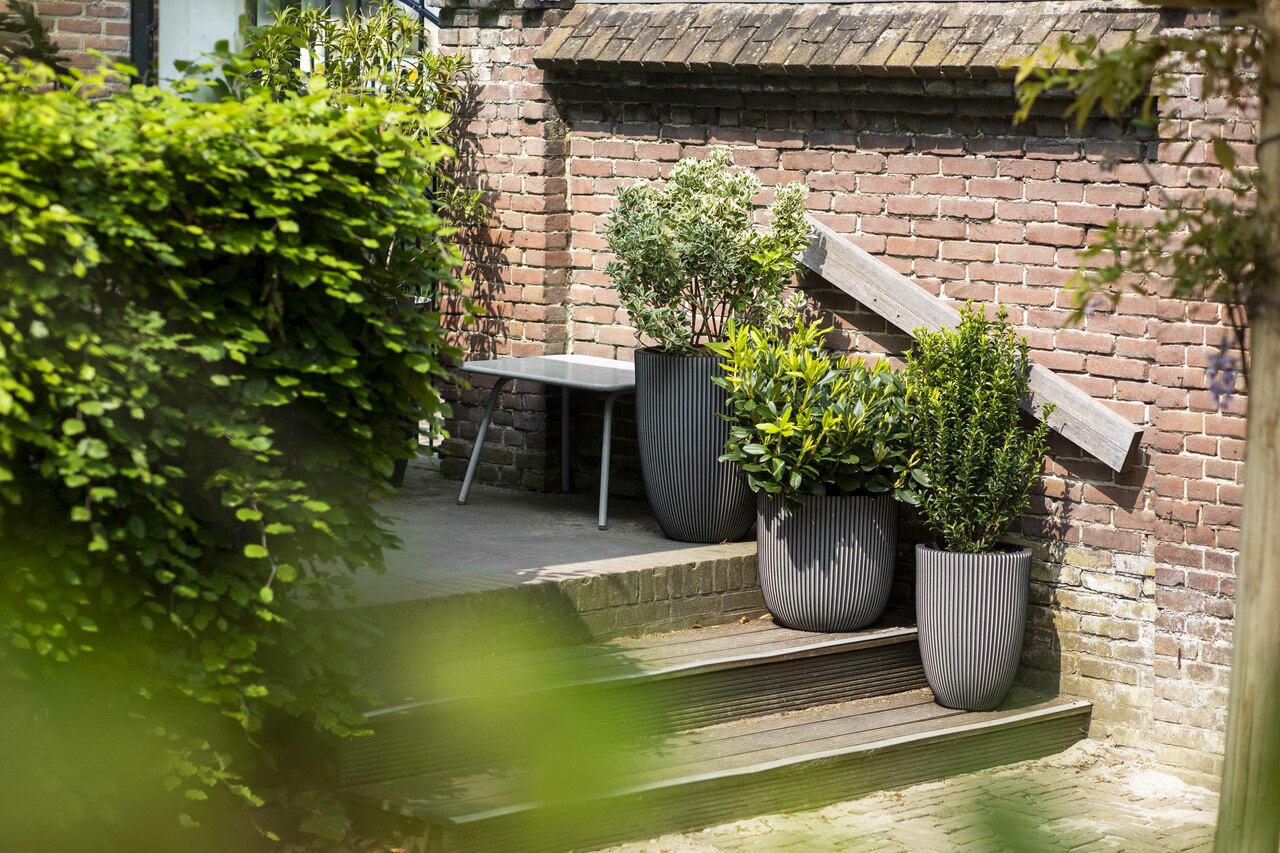 Vase Elegant Low Groove NL Anthracite