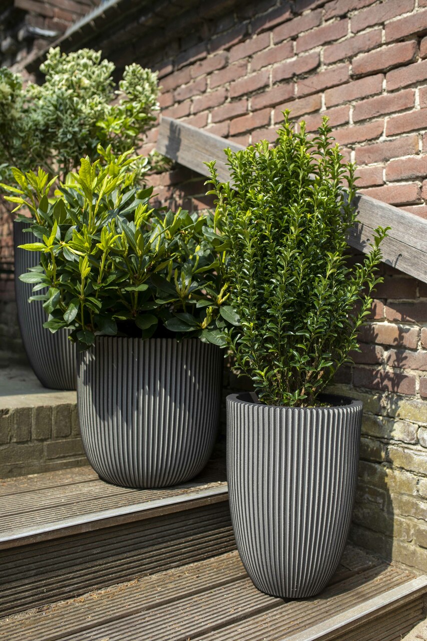 Planter Ball Groove NL Anthracite Planter Ball Groove NL Anthracite