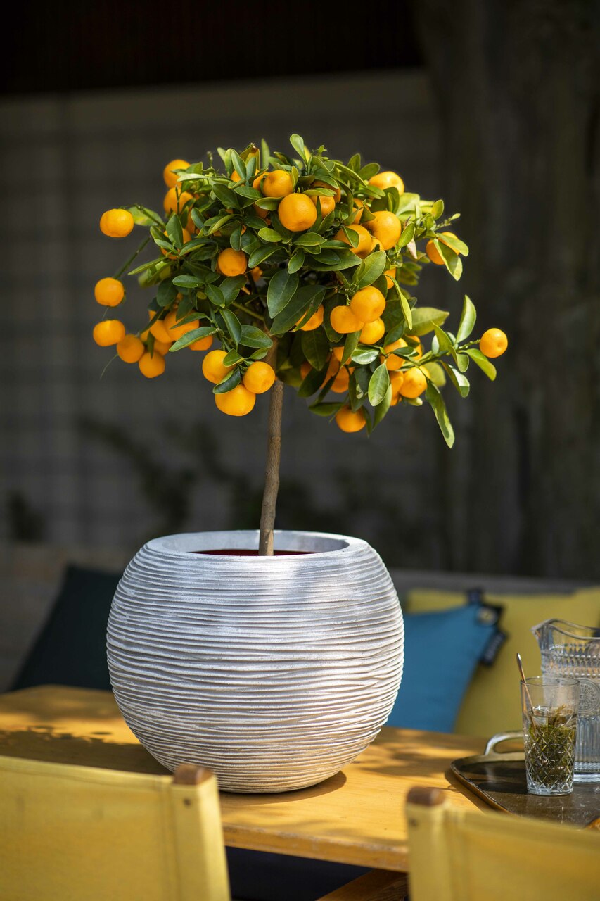 Vase Ball Rib NL Ivory