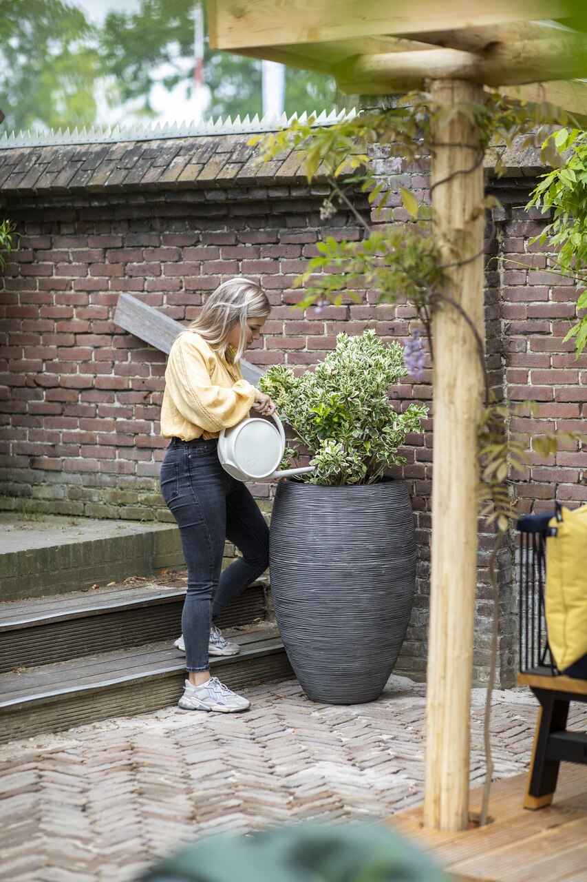 Vase Elegant Deluxe Rib NL Anthracite