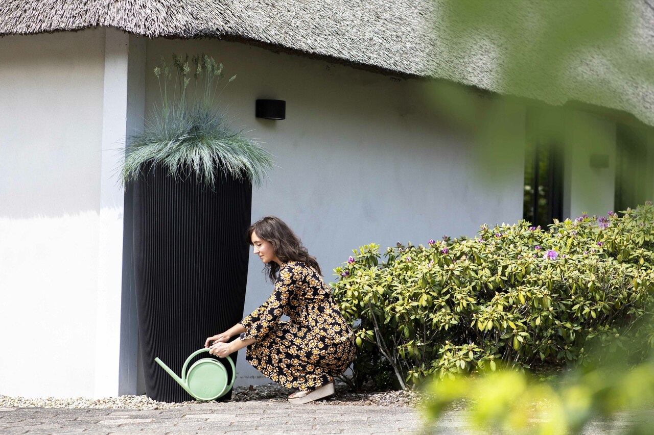 Watering Can Matcha Old Green Watering Can Matcha Old Green