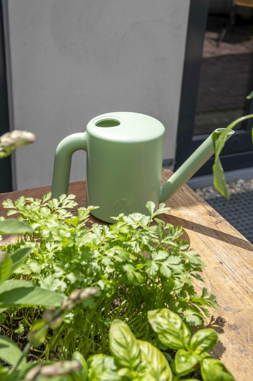 Watering Can Kappu Old Green Watering Can Kappu Old Green