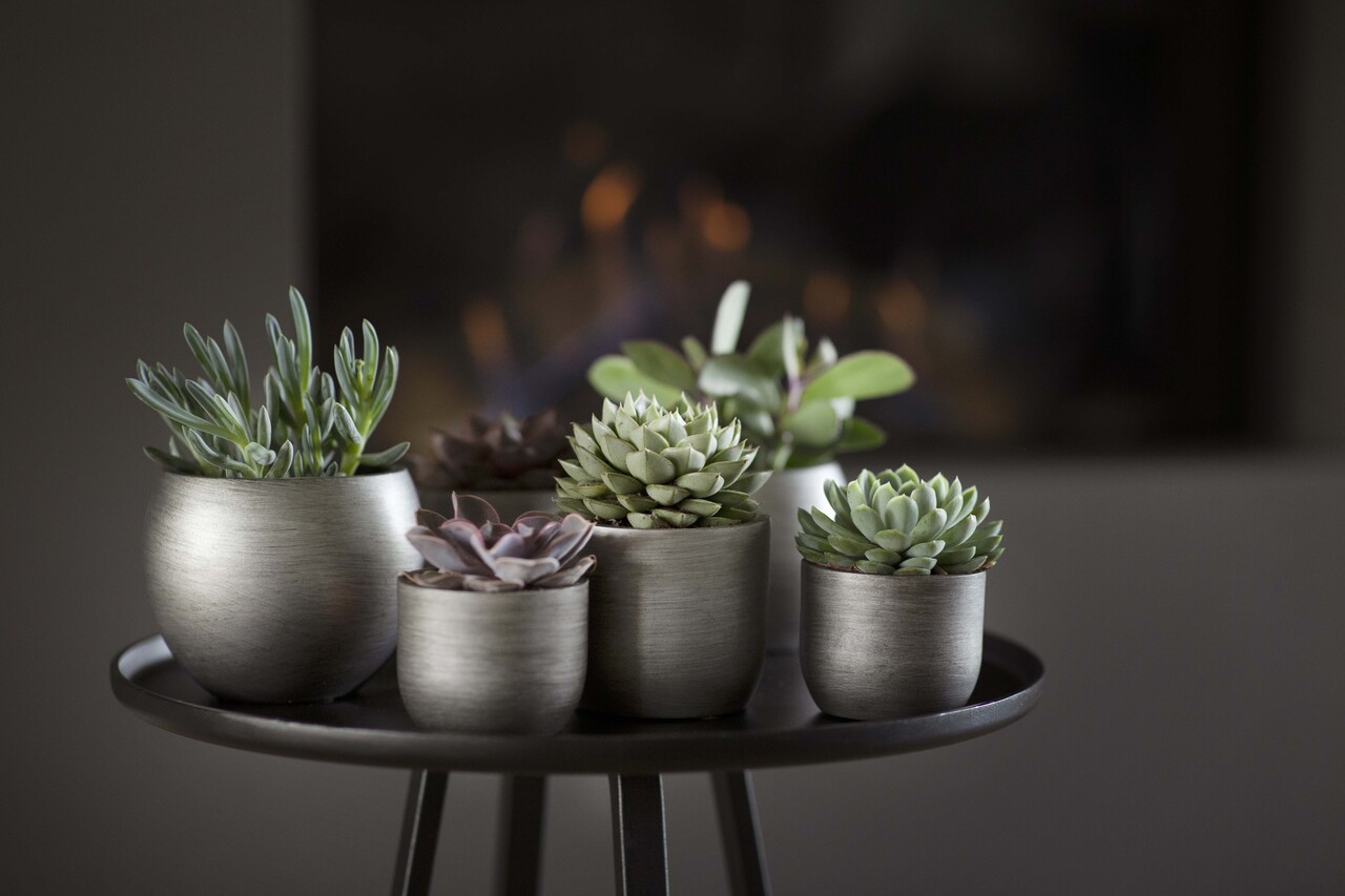 Planter ball Retro silver