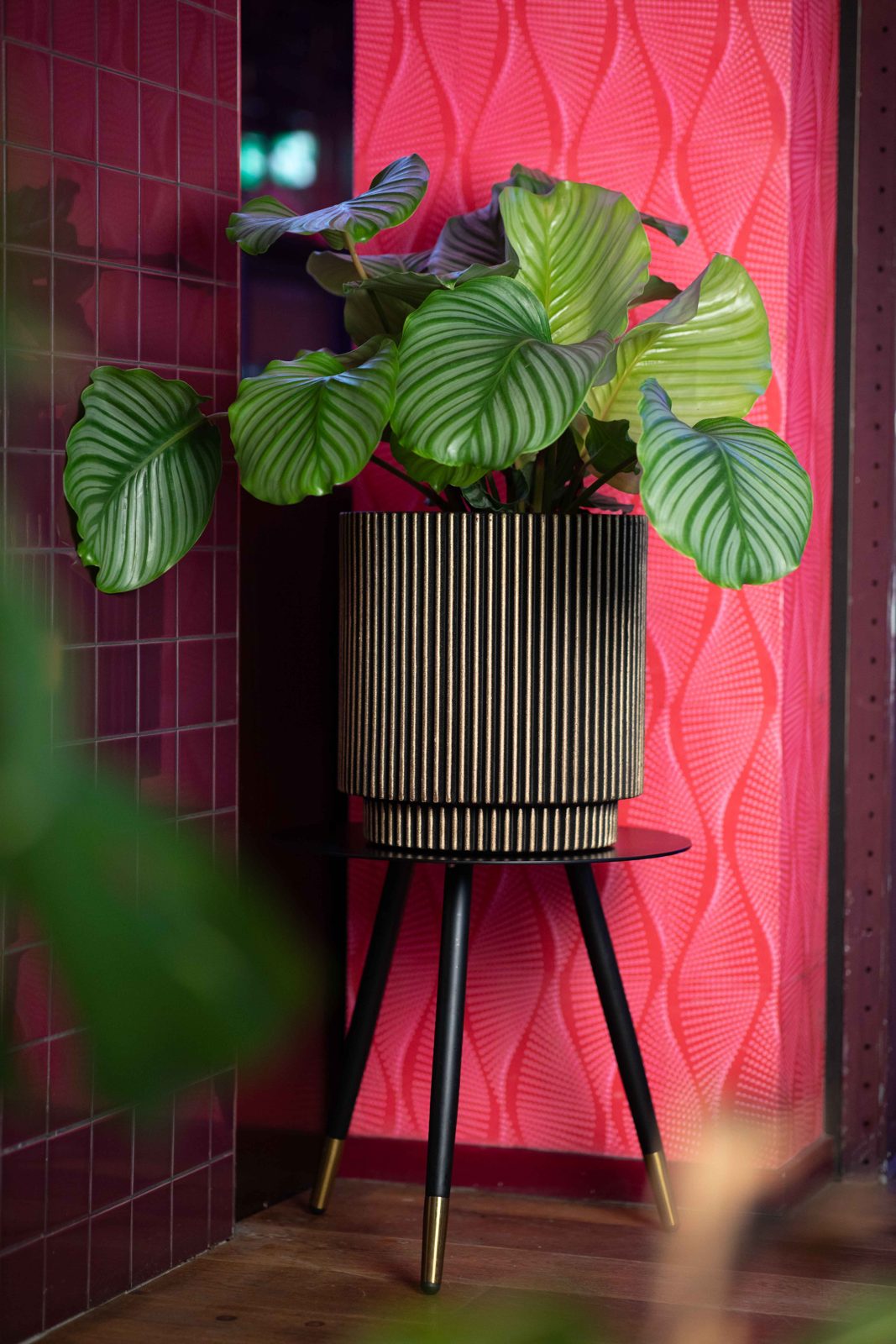 Vase Cylinder Groove Black gold