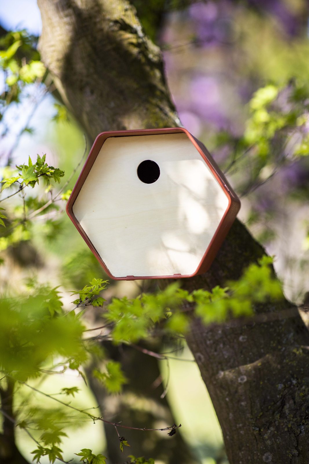 Bird House 1 Hive Brown