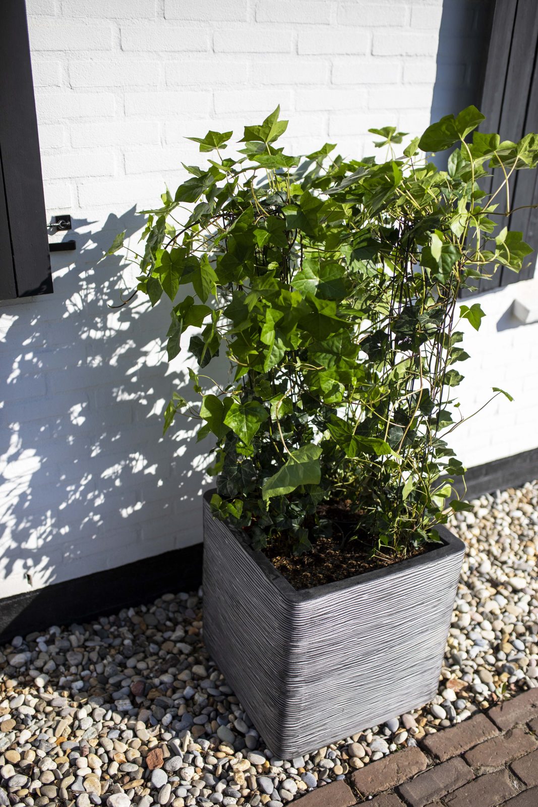 Planter Square Rib Anthracite