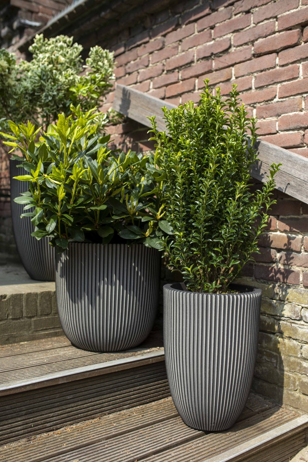 Vase Elegant Low Groove Anthracite
