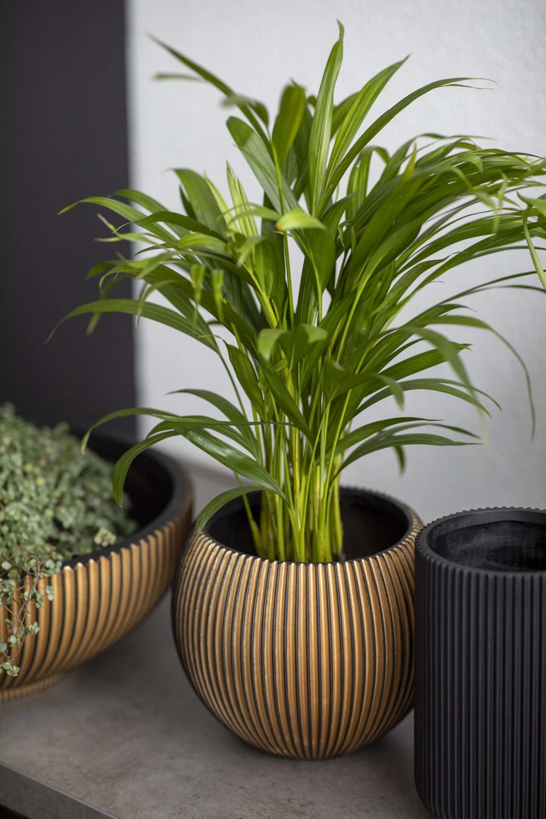 Indoor Groove Vase High Black Indoor Groove Vase High Black