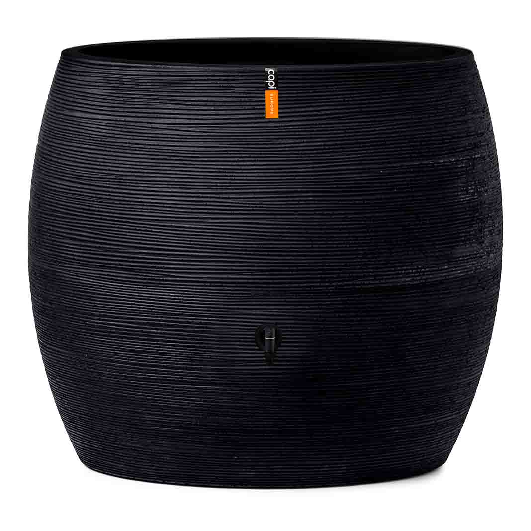 Rainbarrel Rib Black
