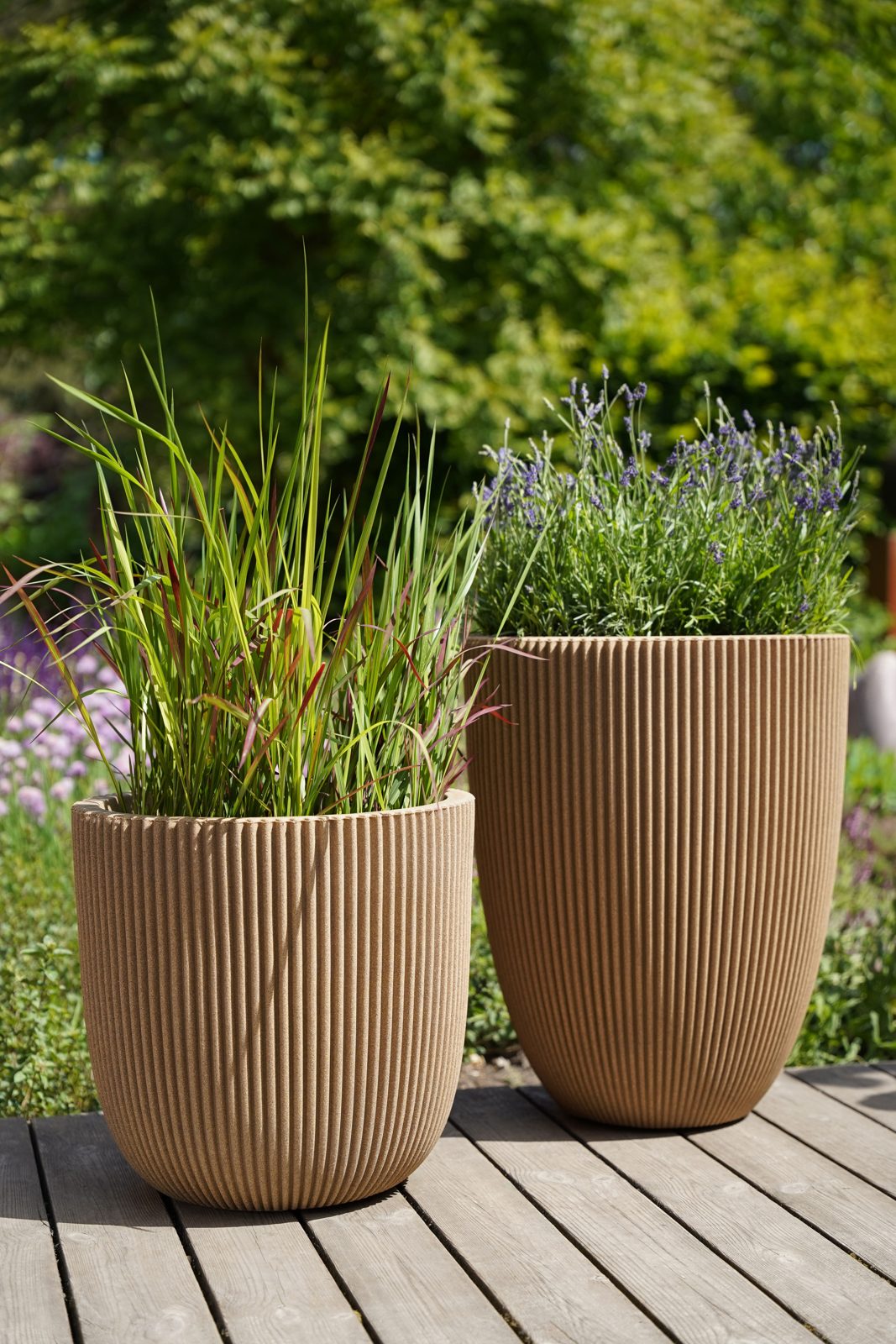 Vase Elegant Low Groove Beige Vase Elegant Low Groove Beige