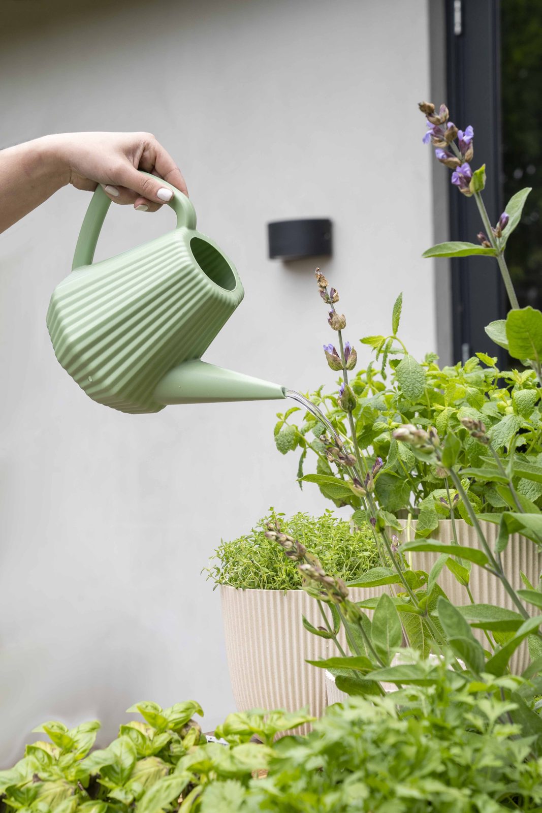 Watering can Doppio Groove Old green