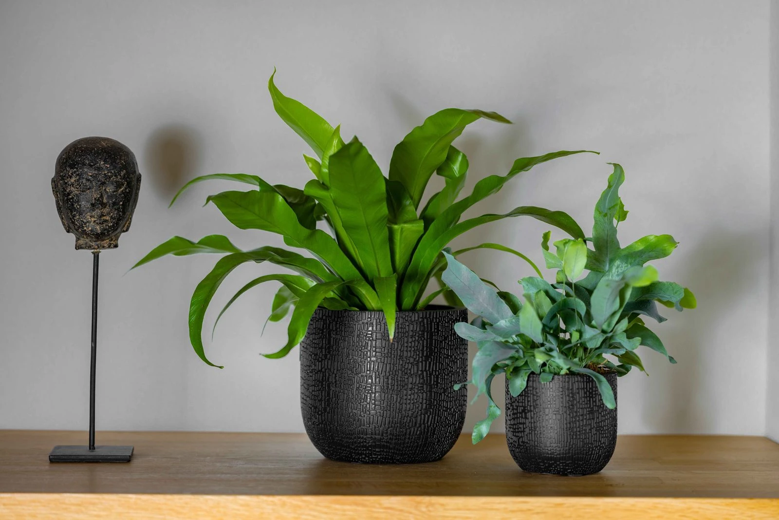 Planter ball Craft Black Planter ball Craft Black