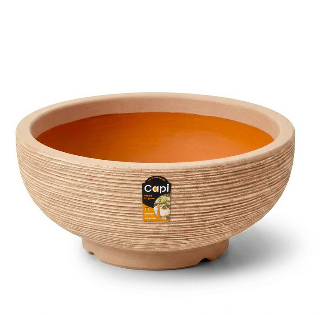 Bowl Rib Terra