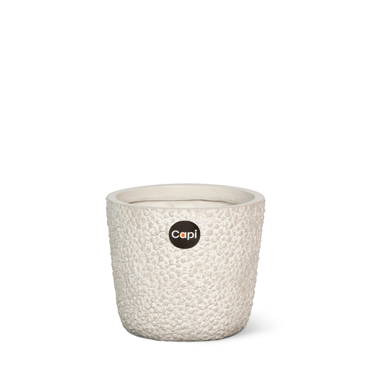 Indoor Dots Planter Egg Clay