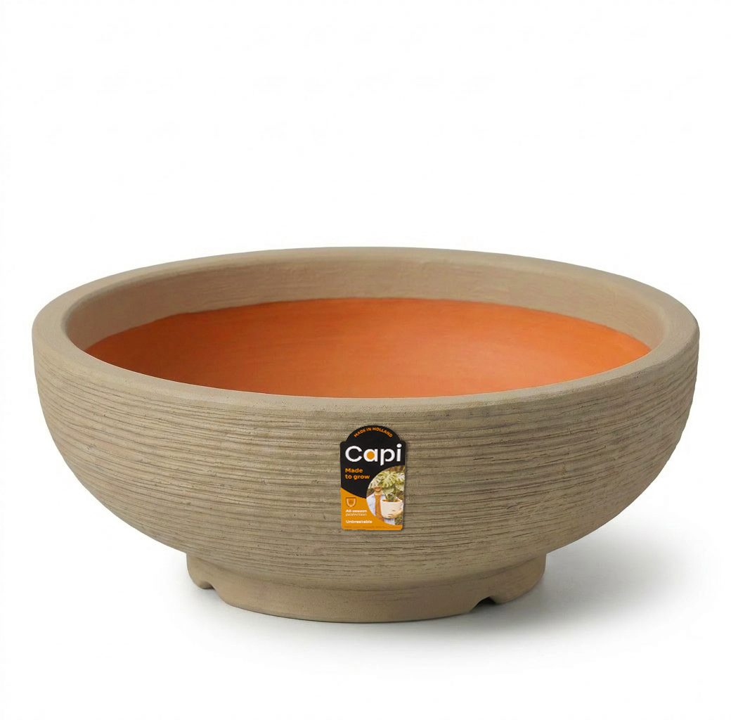 Bowl Rib Beige