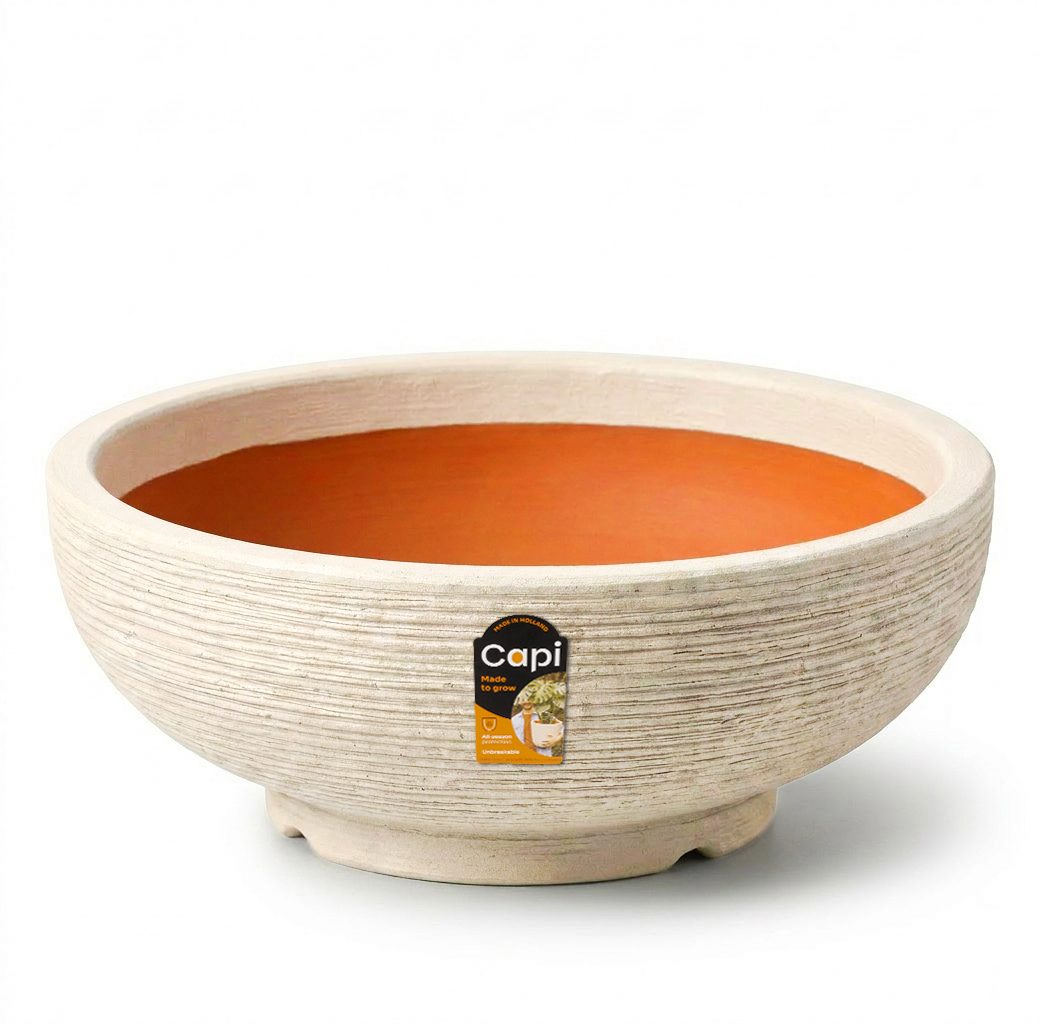 Bowl Rib Pebble